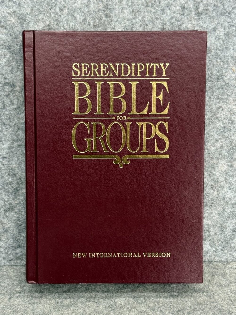 Serendipity Bible For Groups New International Version Hardcover 1989 Second Ed.